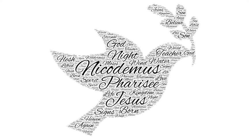 John 3:17 word cloud in the shape of a dove