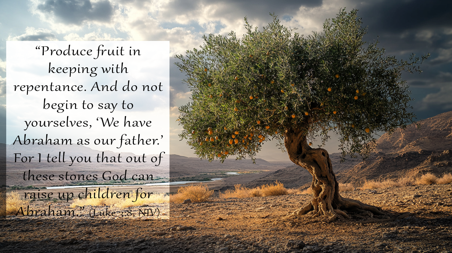 Olive tree bearing fruit in a desert landscape representing Advent repentance and the fruit of transformation from Luke 3:7&ndash;14.