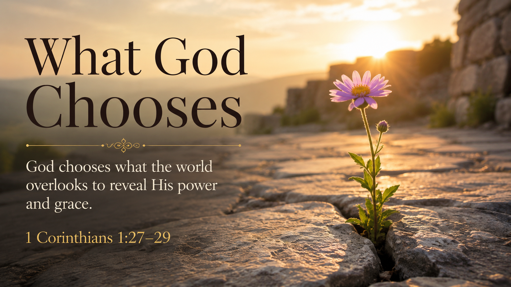 What God Chooses: A wide 16:9 photo-realistic image of a small wildflower growing through a crack in a stone path, bathed in warm morning light. The image includes the title What God Chooses and a paraphrase of 1 Corinthians 1:27&ndash;29.